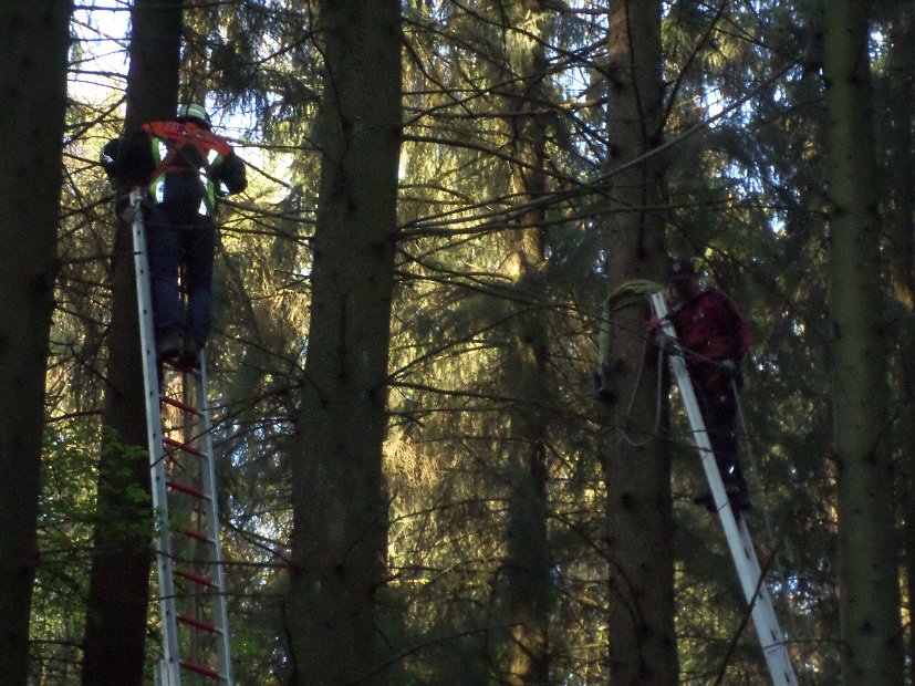 Maibaum_2016 (32)